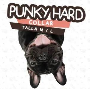 punky-hard-collar