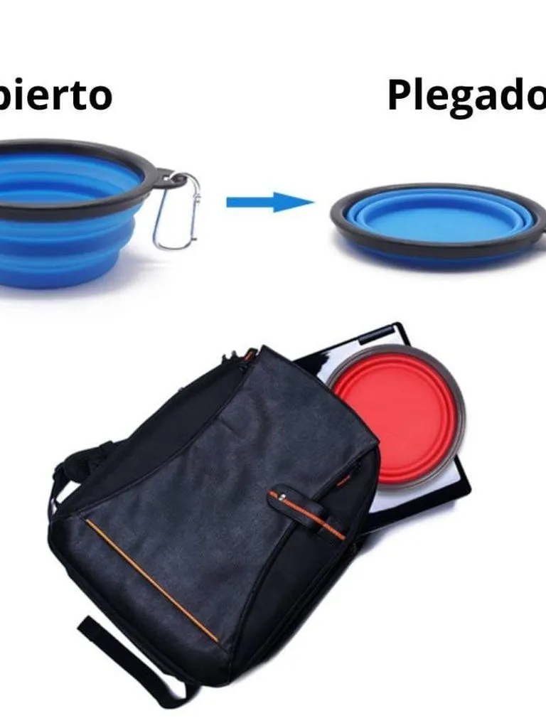 Plato plegable para perritos y gatitos